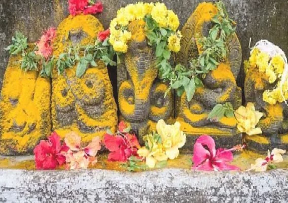Municipal Council Launches Swachh Nagara Panchami Abhiyan for a Cleaner Environment