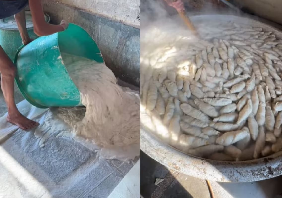 Disturbing Video of Soya Chaap Factory Raises Alarm Among Street Food Lovers