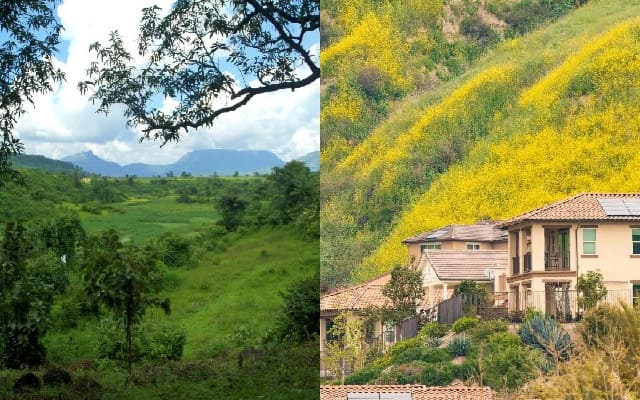 Karnataka Forest Department Cracks Down on Illegal Homestays and Resorts