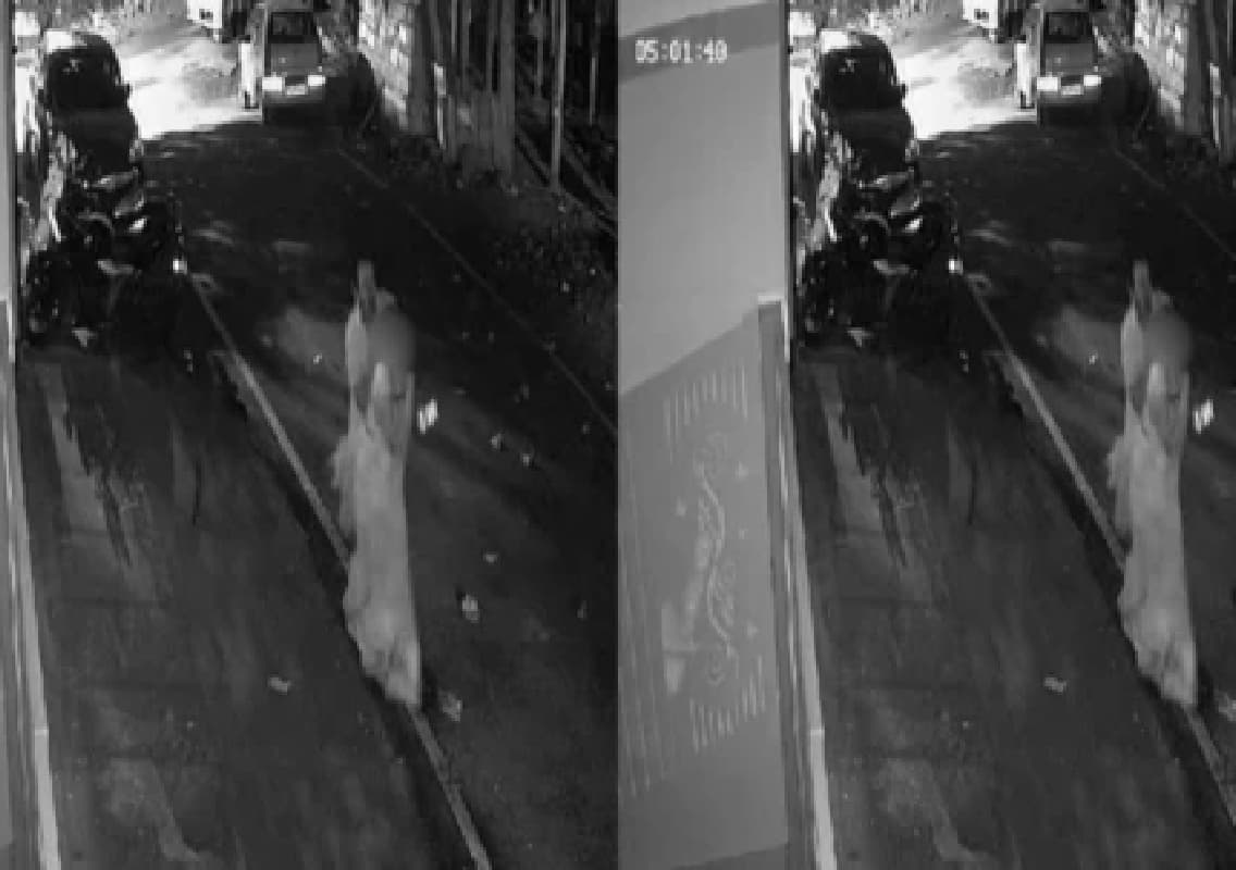 Bengaluru Woman Molested During Morning Walk And Cab Driver Arrested