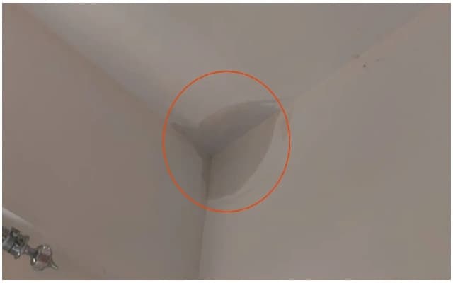 Bengaluru Techie Exposes Water Leak in ₹1.5 Crore Apartment