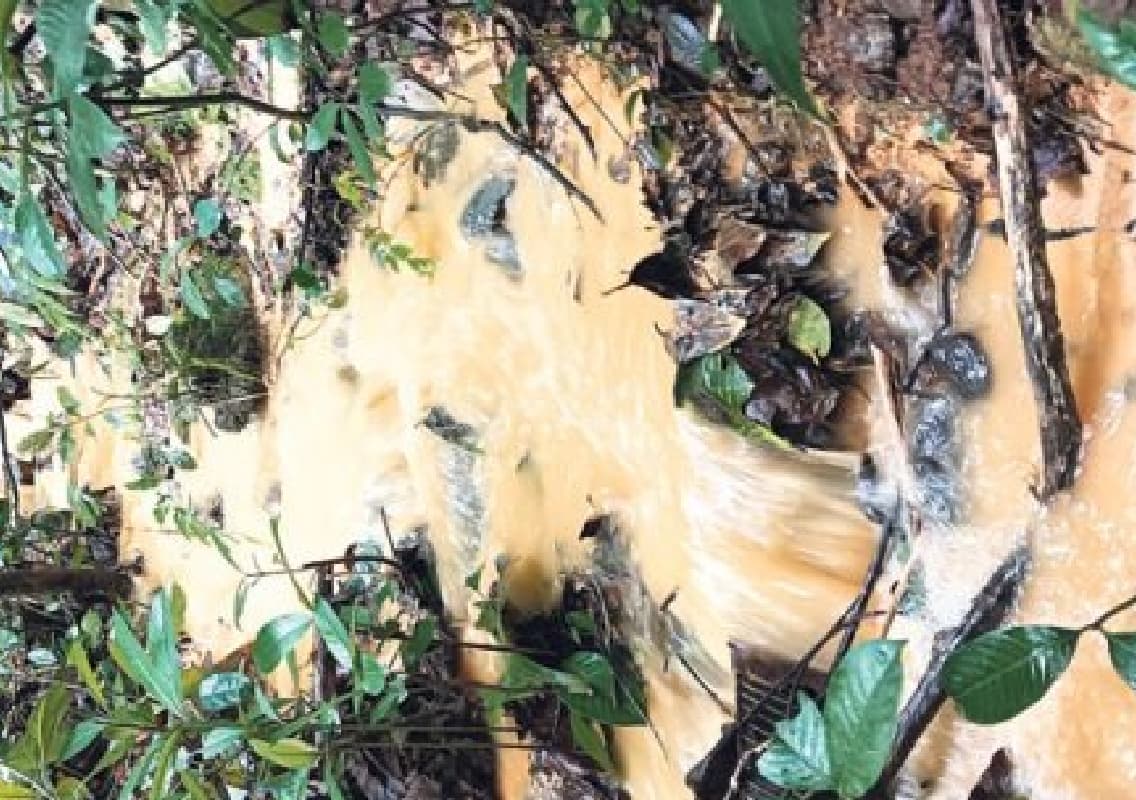Residents in Sullia Area Alarmed by Muddy Water Flowing from Forest