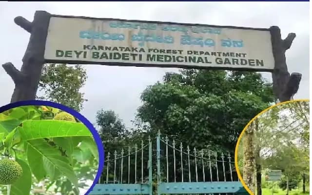Padumale: Heritage Site Celebrates Tulu Nadu’s Folk Heroes with Medicinal Plant Park