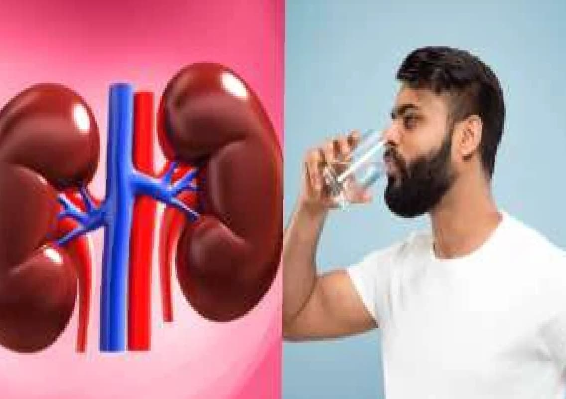 The Importance of Hydration for Kidney Health: How Much Water Should You Drink?