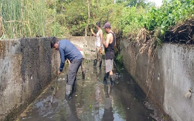 Deputy Commissioner Addresses Manual Scavenging and Crop Relief Issues