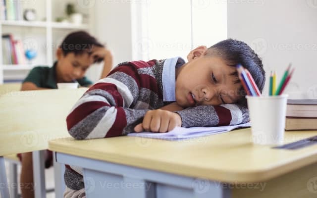 DK Schools to Compensate for Monsoon Holidays with Full-Day Saturday Classes