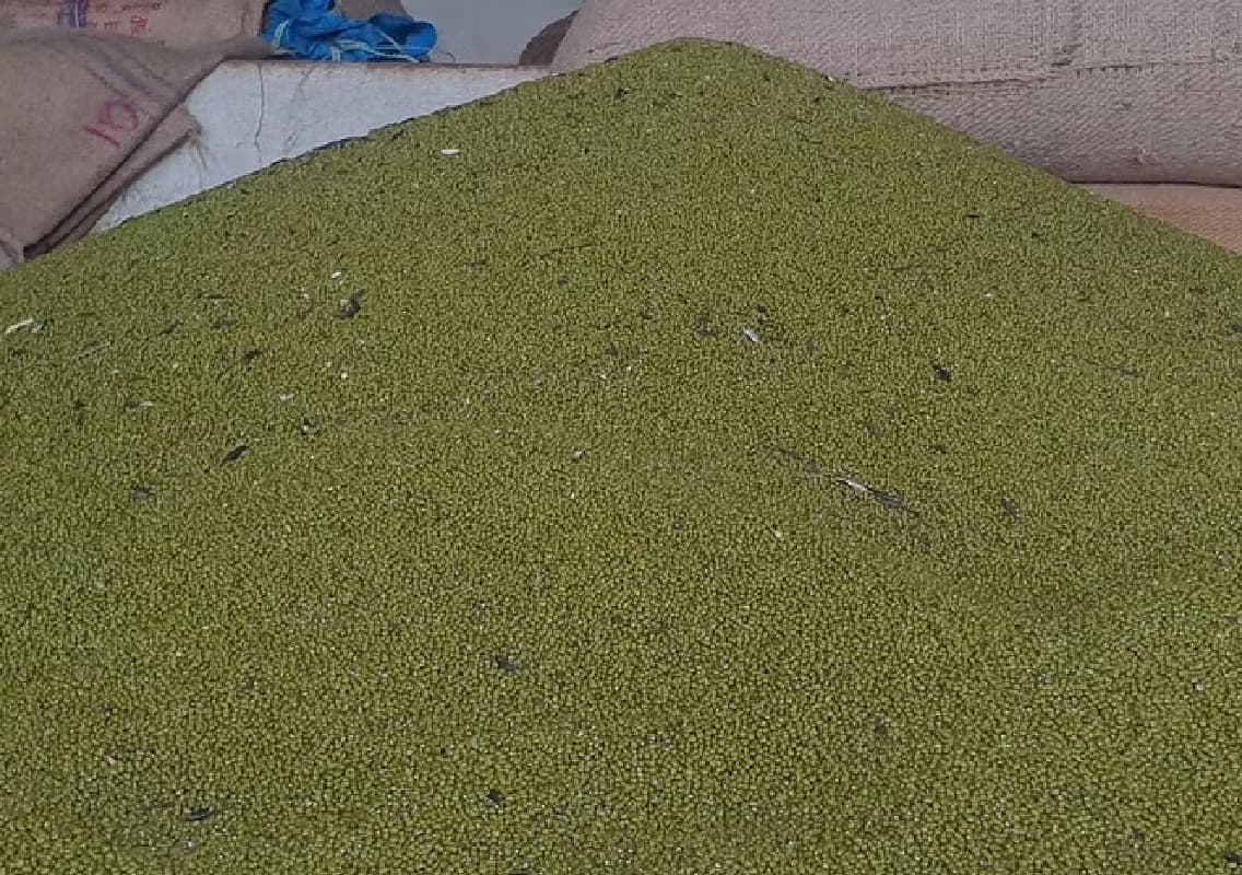Farmers Upset as Rain-Affected Green Gram Sells Below Support Price