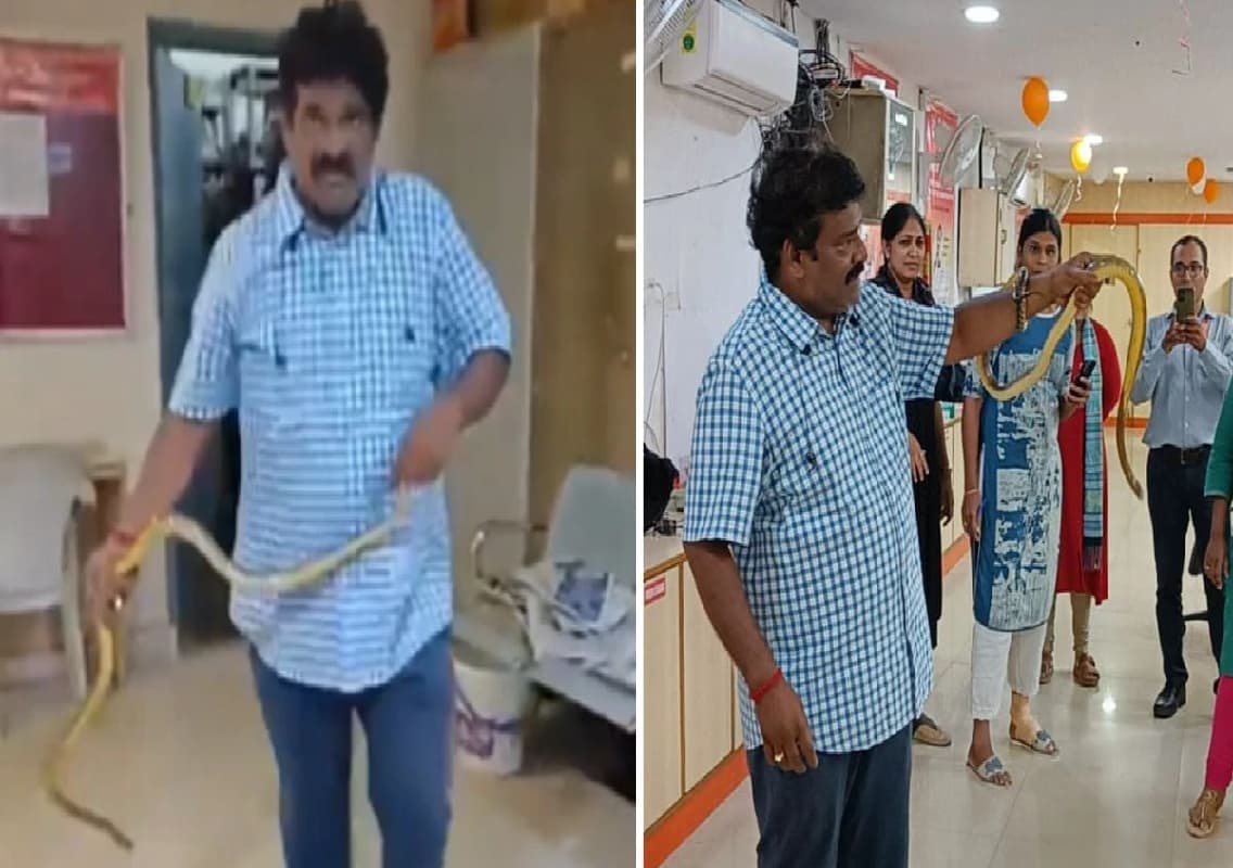 Snake Catcher’s Viral Video Sparks Debate Over Safety and Professionalism