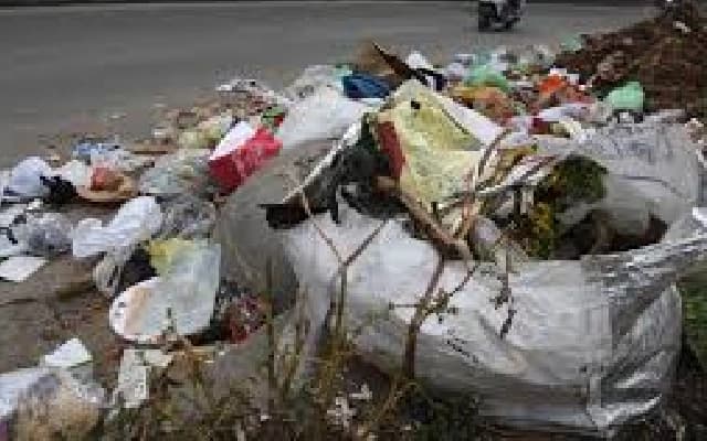 Garbage Crisis in South Bengaluru: BBMP’s Delay Causes Roadblock