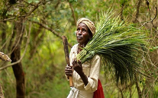 Yerava Tribes Highlight Lack of Facilities on Independence Day