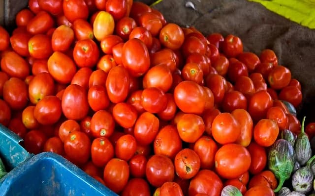 Political Unrest in Bangladesh Hits Kolar Tomato Farmers