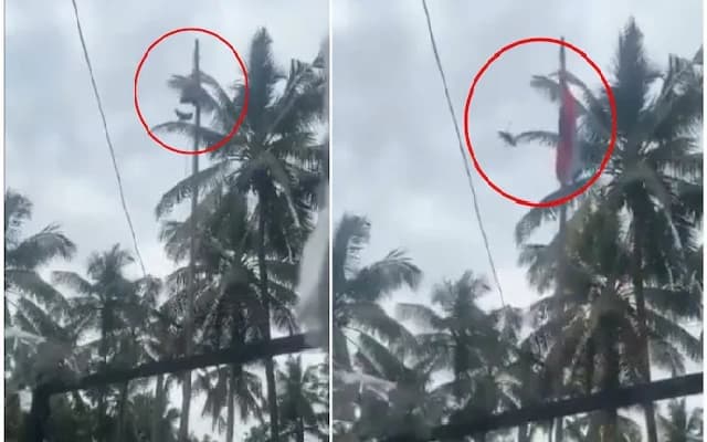 Bird ‘Unfurls’ National Flag in Viral Video, But Follow-Up Reveals the Truth