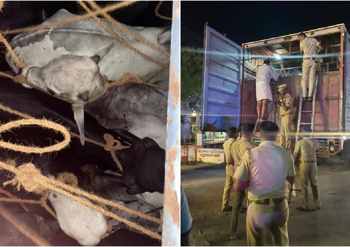 Tamil Nadu Police Bust Interstate Cattle Smuggling Racket