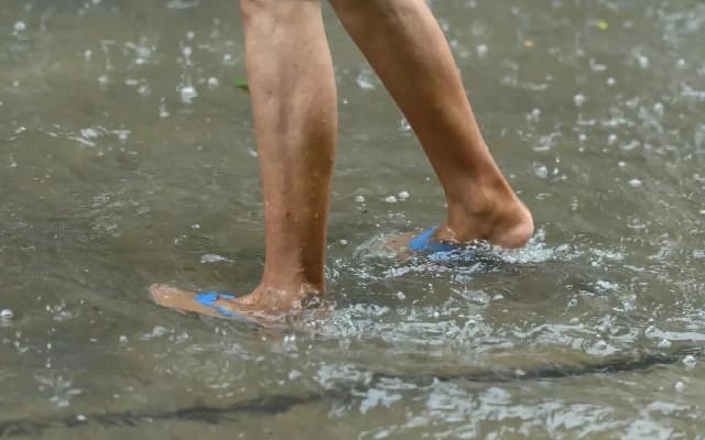 Kerala Sees Surge in Leptospirosis Cases Amid Heavy Monsoon Rains