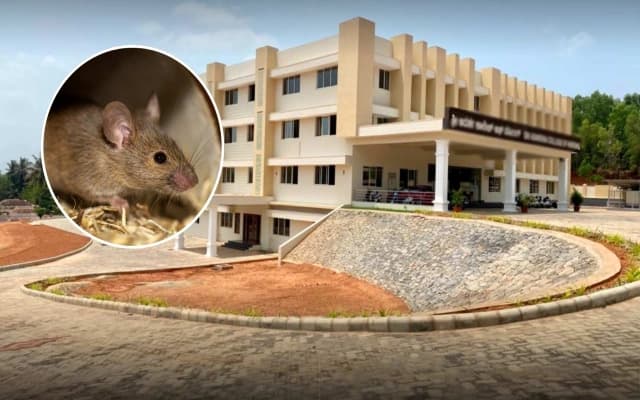 19 Students Hospitalized Due to Rat Repellent Exposure at Bengaluru Nursing College