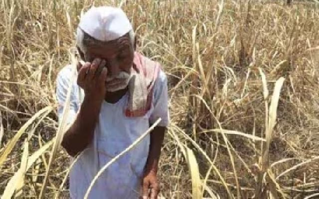 District Task Force to Support Families of Farmers Who Died by Suicide
