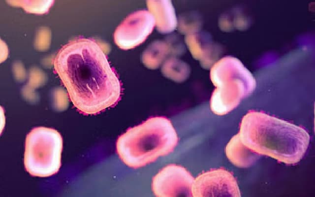 Karnataka Prepared for Mpox Outbreak Amid Low Public Concern