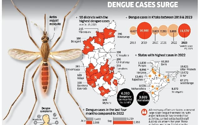Surge in Dengue Cases in Karnataka: Highest in a Decade