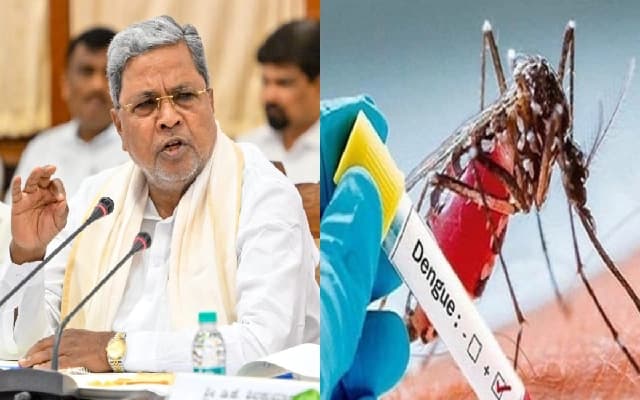 Karnataka Reports Alarming 222 Active Dengue Cases