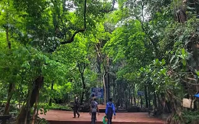 Bengaluru to Gain New Forest Park and Aviary on Reclaimed Land
