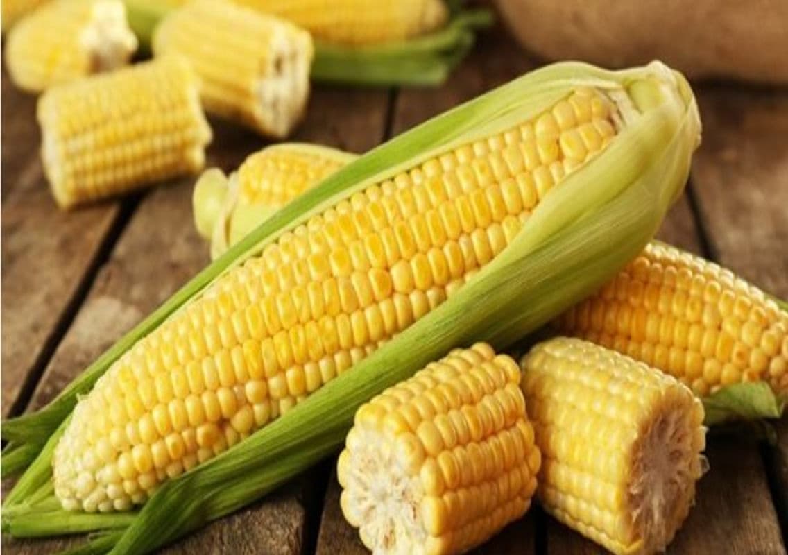 Kundapur Businessman Alleges Fraud in Corn Purchase