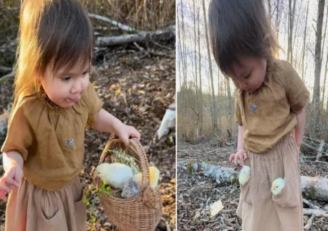 Adorable Video of Little Girl with Chicks Goes Viral, Reaches Over 93 Million Views