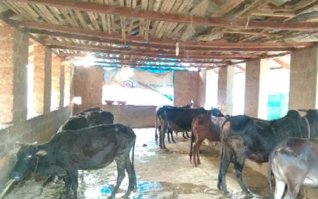 Cattle Theft Accused Arrested After 21 Years of Evading Court
