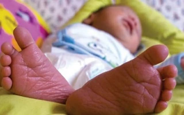 Kerala State Child Welfare Committee Achieves Milestone with 100 Adoptions