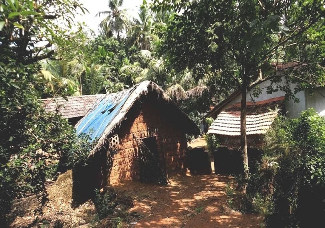 Fresh Hope for Forest Rights Applicants as Government Pushes for Action
