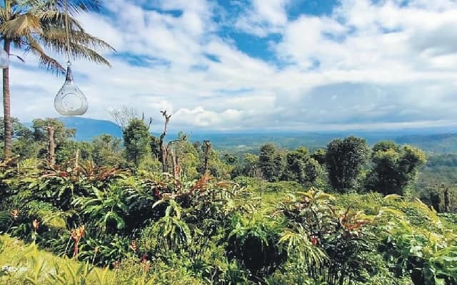 Illegal Resort Construction in Kodagu Raises Concerns Amid Government Crackdown