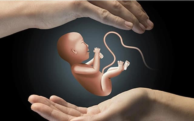 Union Minister Kumaraswamy Calls for Action Against Female Foeticide in Mandya