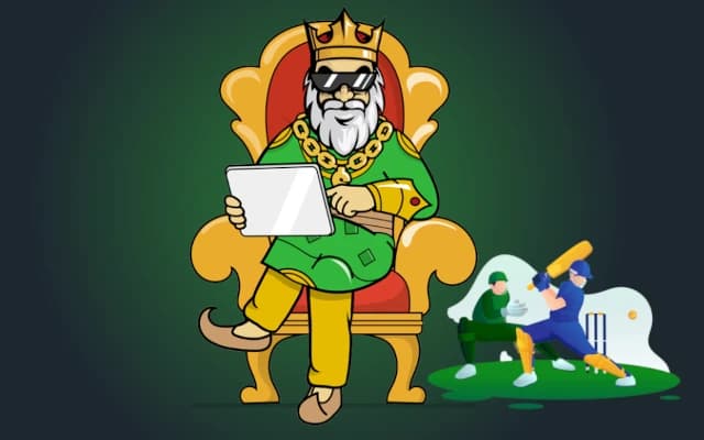 Streamline Your IPL Bets with Betraja.net’s Top Betting Sites
