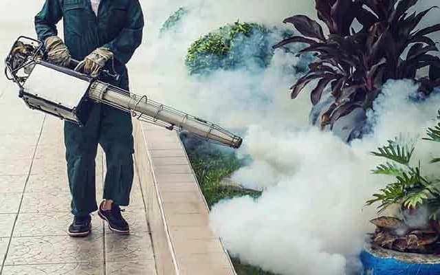 Bengaluru Launches Innovative Ovitrap Project to Combat Dengue Outbreaks