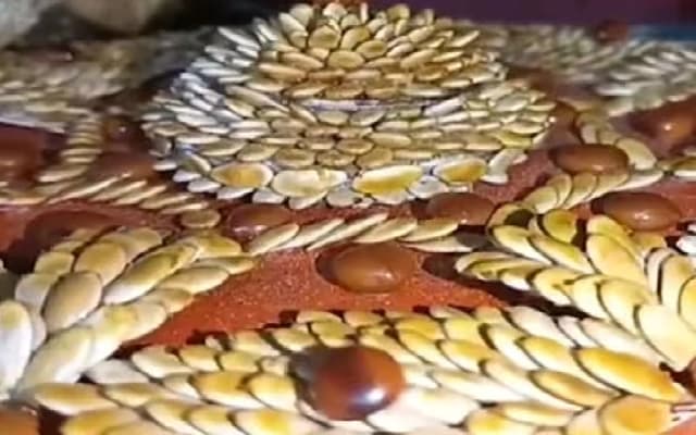 70-Year-Old Phaniveni Hegade’s Art Preserves Seed Traditions