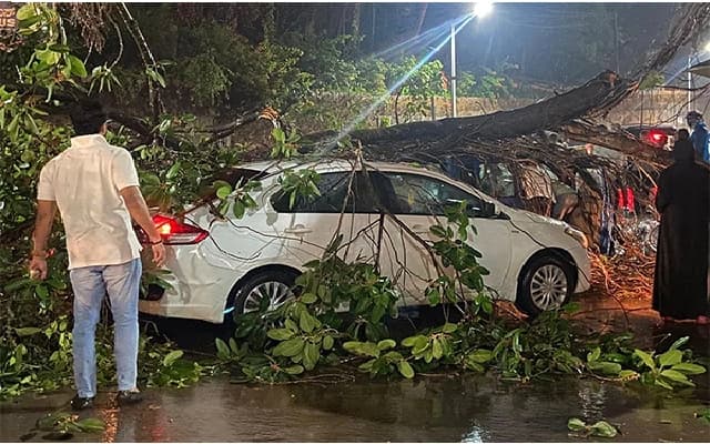 Traffic Disruption in Kollamogru Due to Banyan Tree Branch