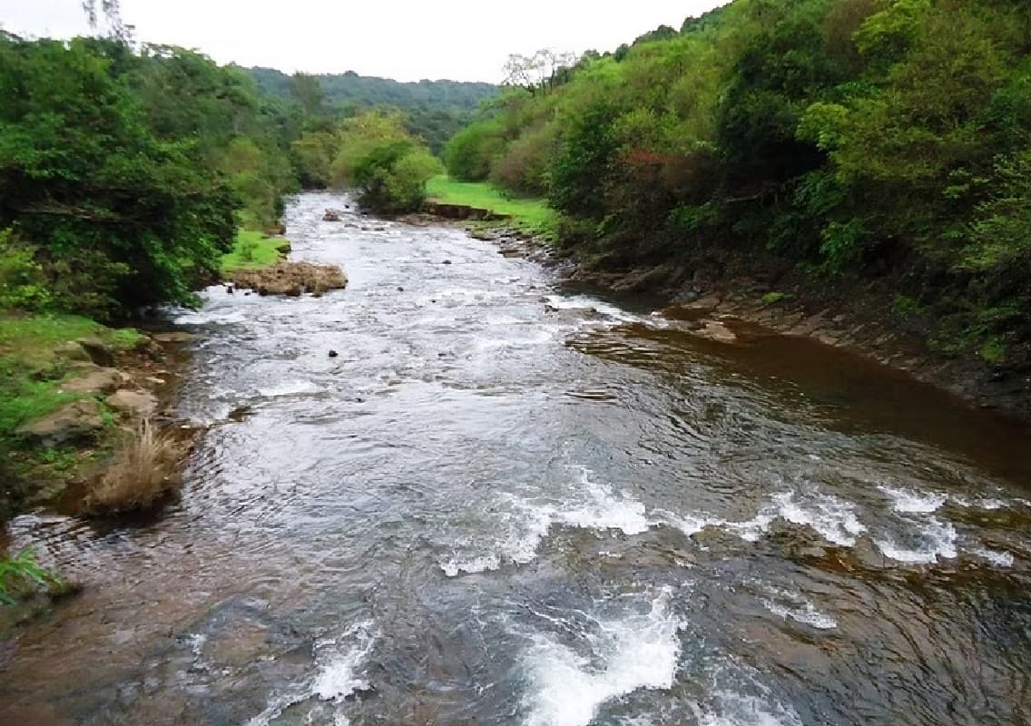 National Wildlife Board Rejects Kalasa Nala Diversion Project Approval