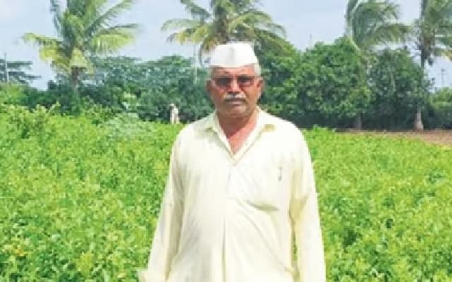 Vijayapura Lemon Saplings in High Demand After GI Tag