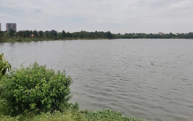Bengaluru’s Lake Restoration Efforts Criticized for Ineffective Design