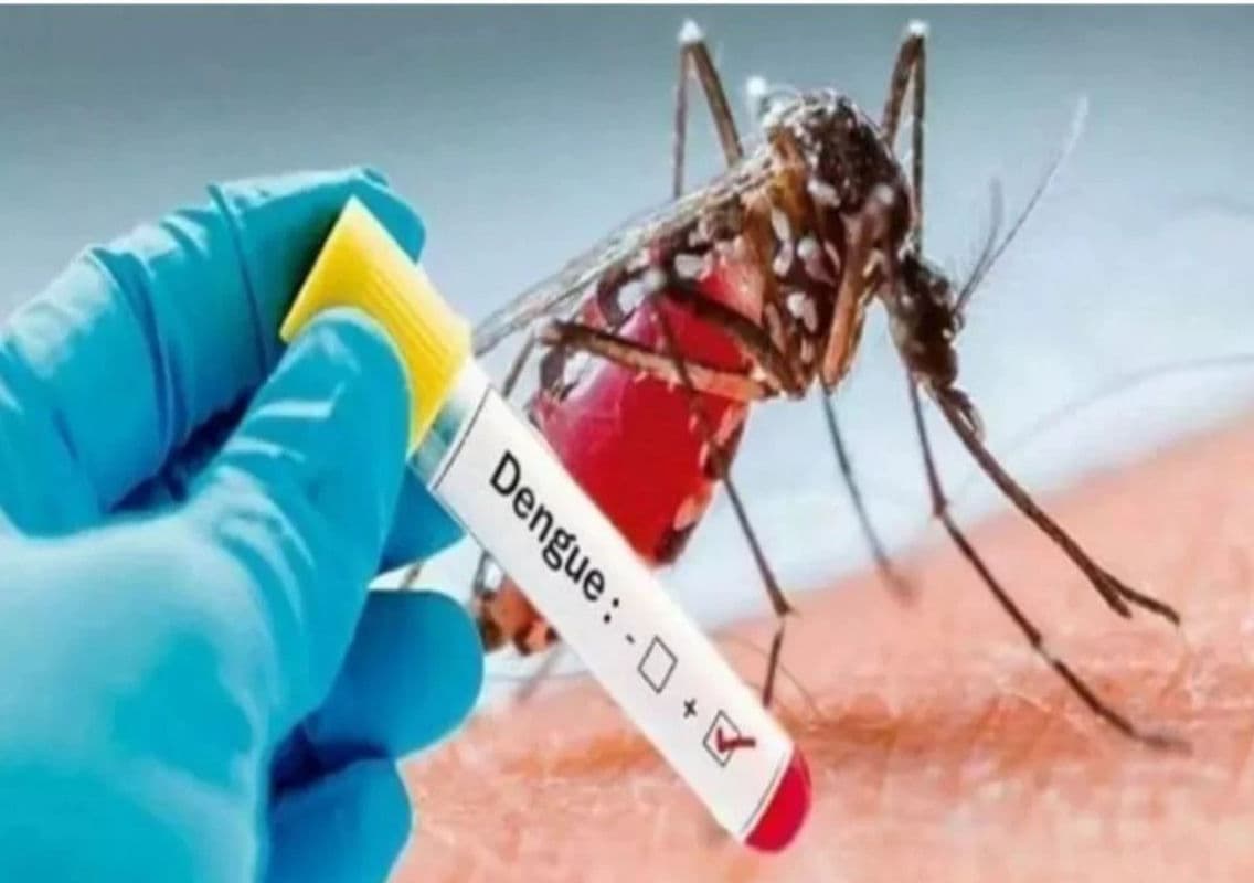 Discrepancies in Dengue Death Reports Highlight Data Management Issues in Delhi