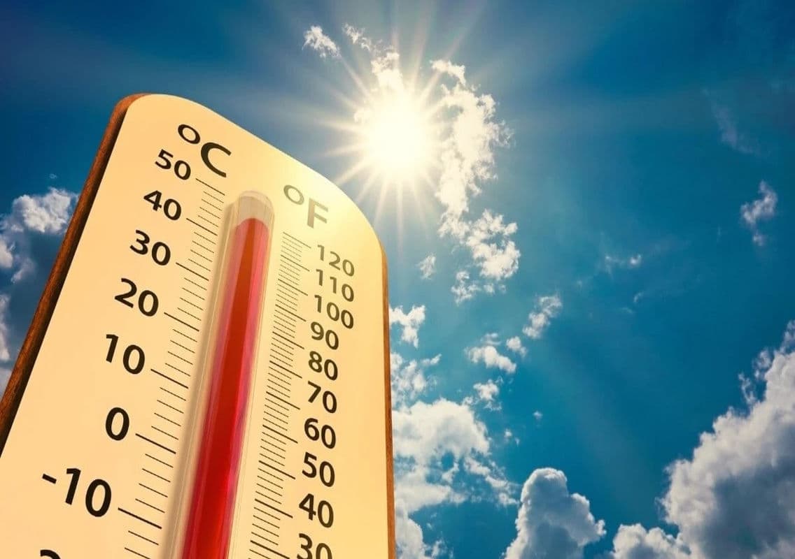 Assam Modifies School Timings Amid Heatwave Conditions