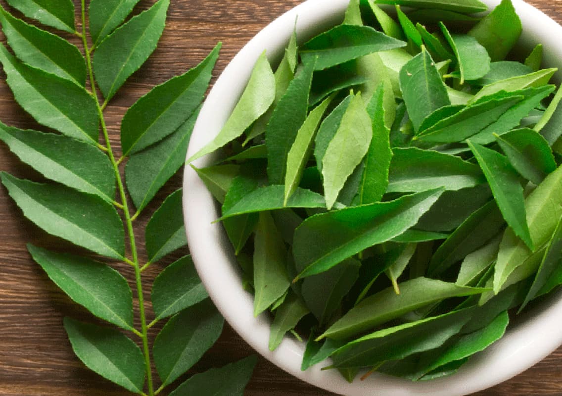 What Happens When You Eat Curry Leaves on an Empty Stomach Every Morning?