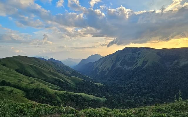 Kodagu Growers’ Association Opposes HLWG Report on Western Ghats