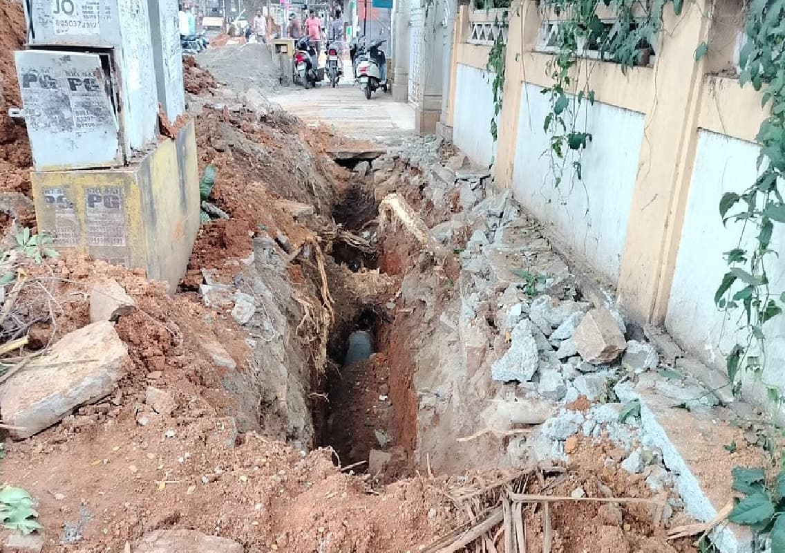 Bengaluru: Tree Roots Cut for Road Work, Raising Concerns