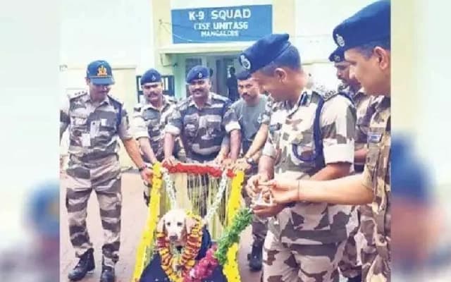 CISF Bids Farewell to Retired Labrador Julie After 8 Years of Service at Mangaluru Airport