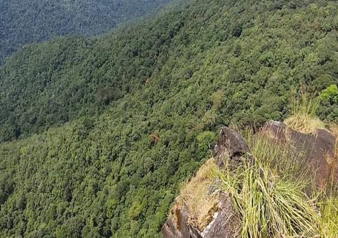 Activists Decry Misinformation as Western Ghats ESA Deadline Approaches