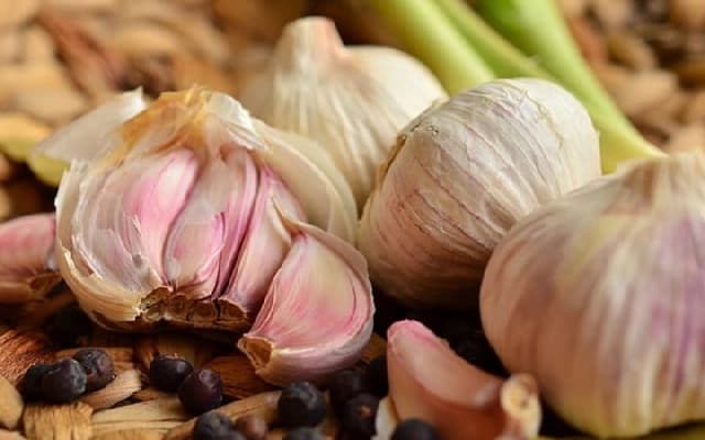 Udupi Municipality Seizes 12 Tonnes of Banned Chinese Garlic in Market Raid