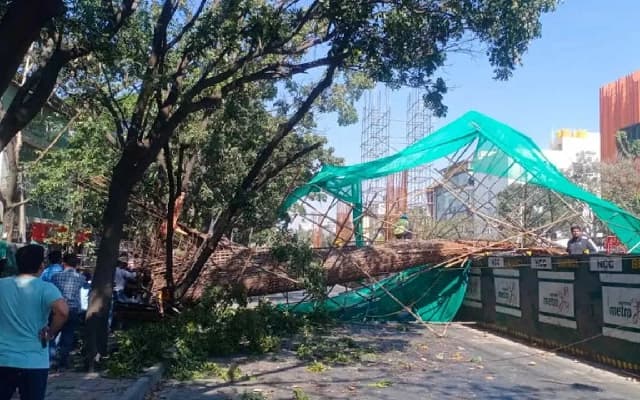 Tragic Incident in Bengaluru: One Dead, Two Injured in Farmland Collapse