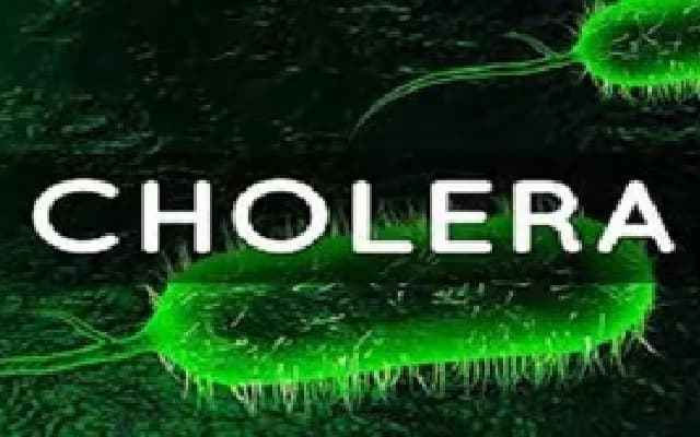 Suspected Cholera Outbreak in Kundapura Villages: Over 200 Ill