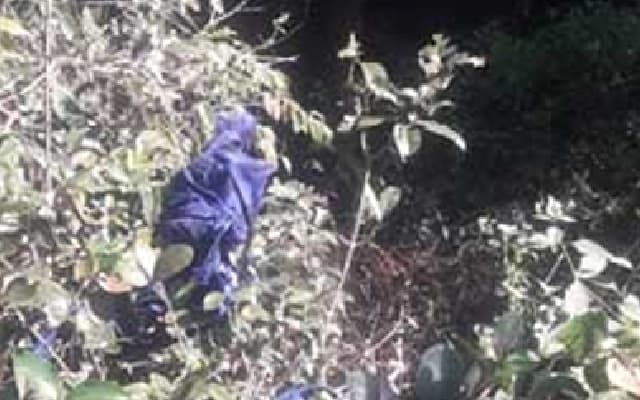 Skeletal Remains Found Hanging from Tree in Mangaluru