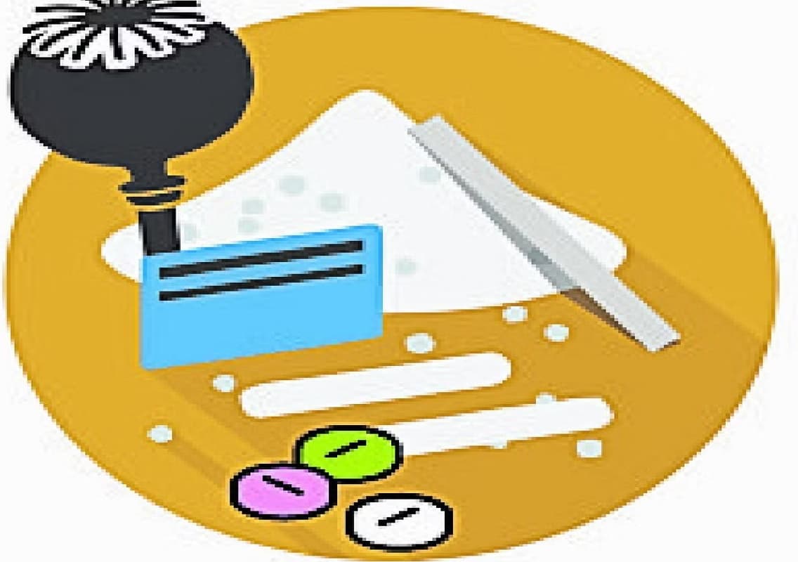 Drug Smuggling Operation Through Postal Service Uncovered in Bengaluru